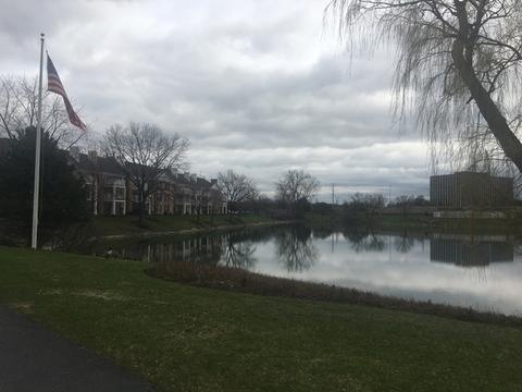 5500 Carriageway Dr #207C, Rolling Meadows, IL 60008 photo 4