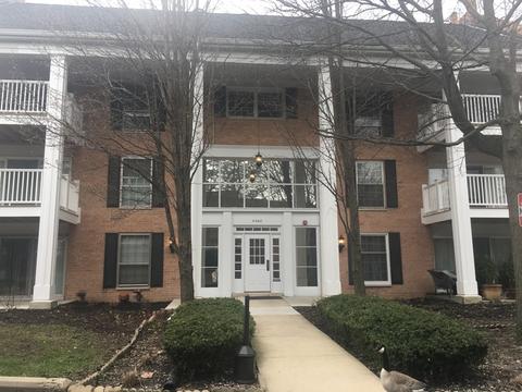 5500 Carriageway Dr #207C, Rolling Meadows, IL 60008 photo 1