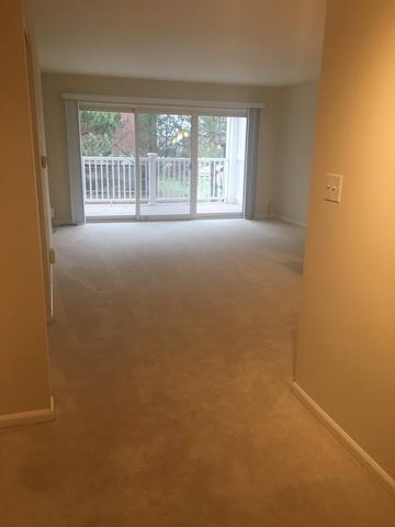 5500 Carriageway Dr #207C, Rolling Meadows, IL 60008 photo 15