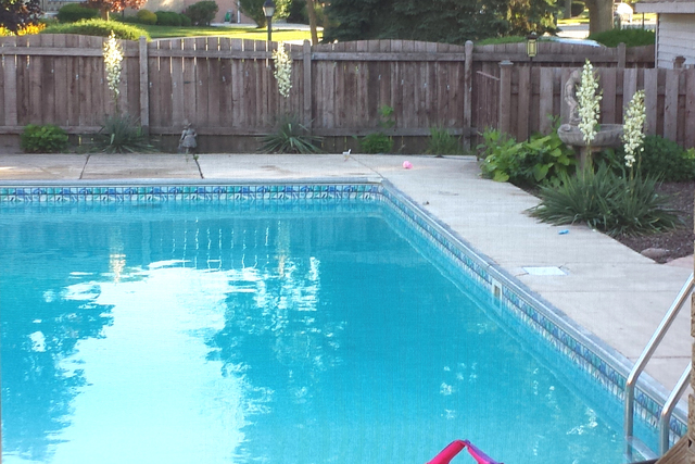 2634 Forestview Ave, Brookfield, IL 60513 photo 16