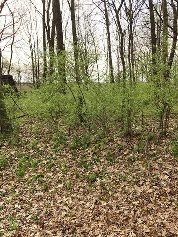 11 Hunter Ct, Putnam, IL 61560 photo 2