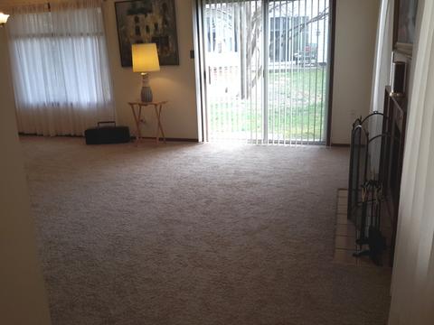 52 Churn Rd, Matteson, IL 60443 photo 10