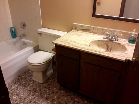 52 Churn Rd, Matteson, IL 60443 photo 12