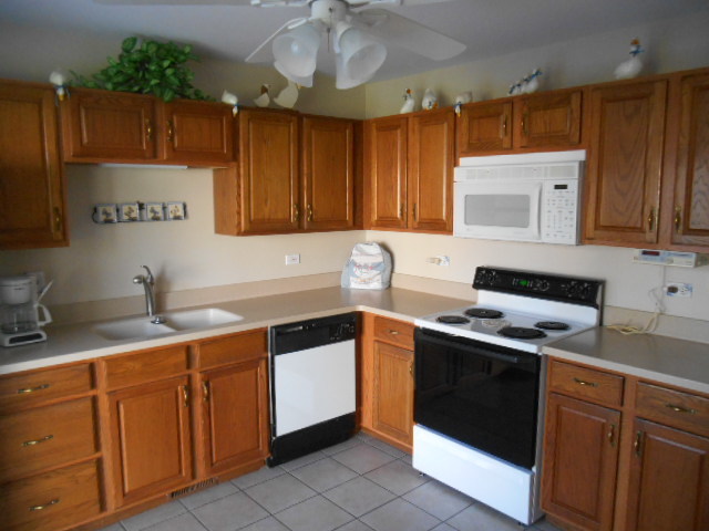 13319 Red Cedar Ln, Plainfield, IL 60544 photo 3