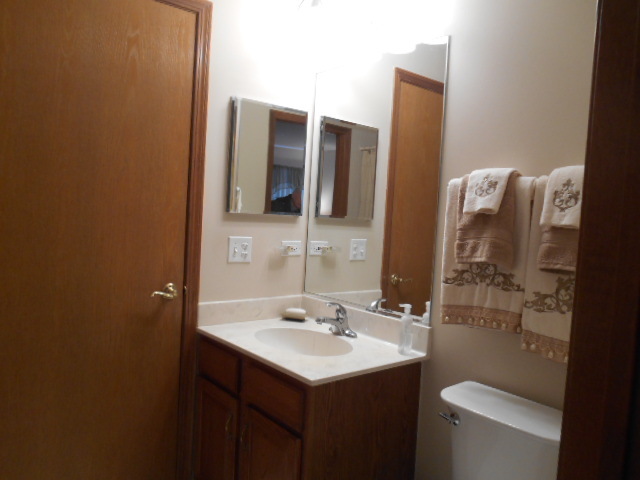 13319 Red Cedar Ln, Plainfield, IL 60544 photo 11