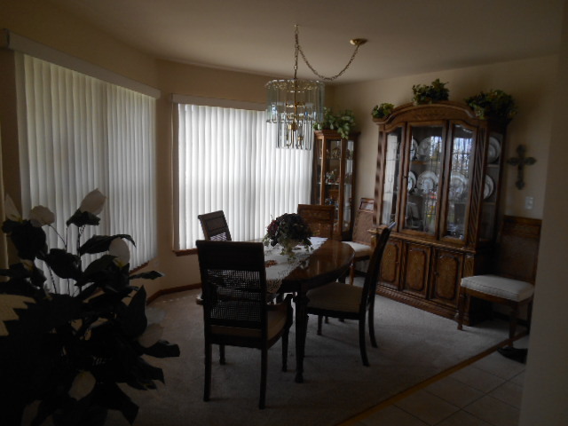 13319 Red Cedar Ln, Plainfield, IL 60544 photo 7
