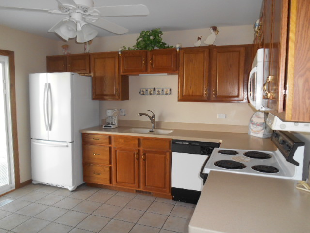13319 Red Cedar Ln, Plainfield, IL 60544 photo 4
