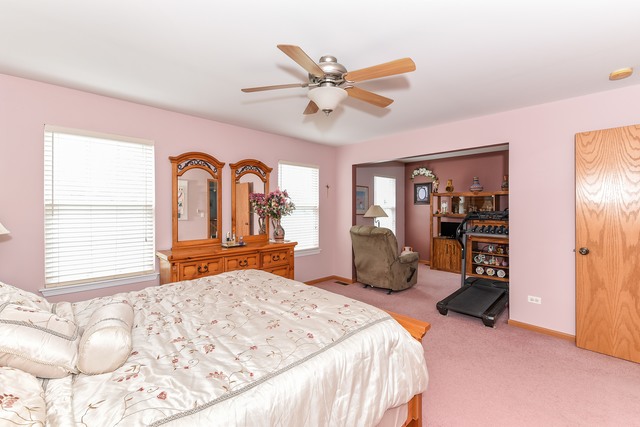 16652 W Adobe Dr, Lockport, IL 60441 photo 7