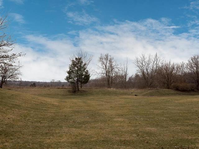 215 Windsor Dr, Bartlett, IL 60103 photo 25
