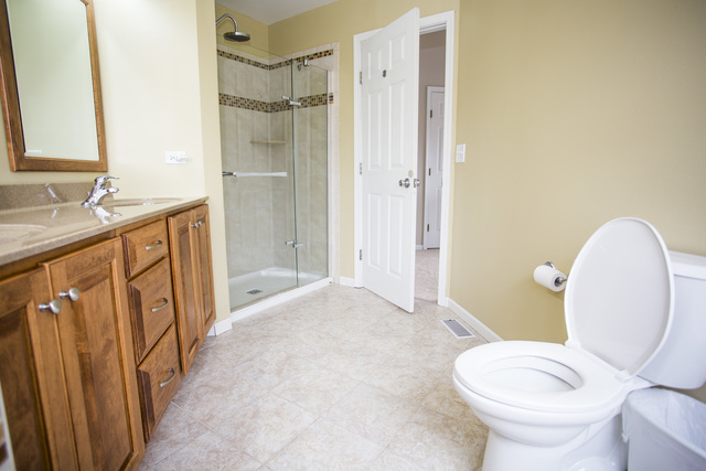 917 Brompton Cir, Bolingbrook, IL 60440 photo 25