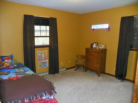 316 Linden St, Dwight, IL 60420 photo 11