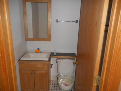 446 W 44th St, Chicago, IL 60609 photo 26