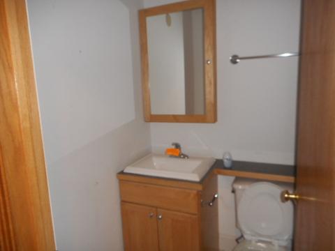446 W 44th St, Chicago, IL 60609 photo 25