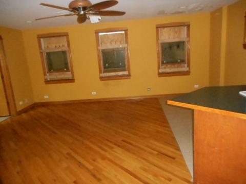 446 W 44th St, Chicago, IL 60609 photo 38