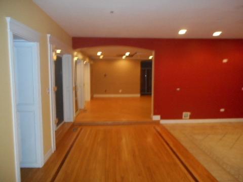 446 W 44th St, Chicago, IL 60609 photo 8