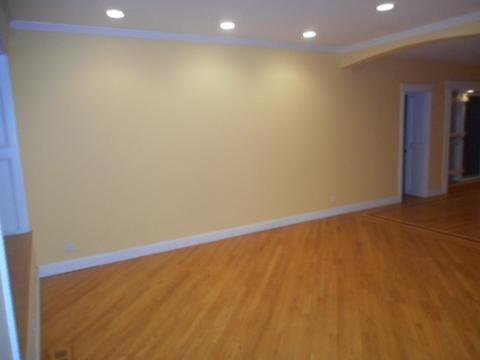 446 W 44th St, Chicago, IL 60609 photo 20