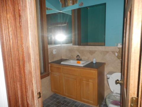 446 W 44th St, Chicago, IL 60609 photo 44