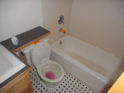 446 W 44th St, Chicago, IL 60609 photo 32
