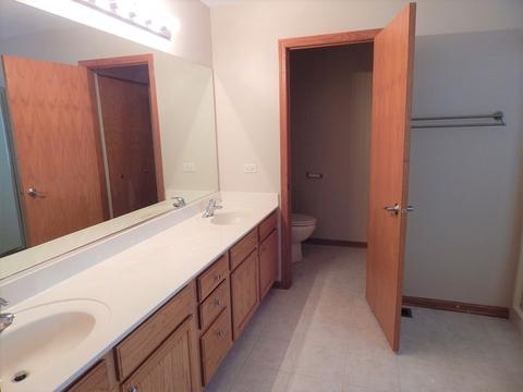 1901 Great Ridge Dr, Plainfield, IL 60586 photo 10