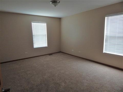 1901 Great Ridge Dr, Plainfield, IL 60586 photo 14