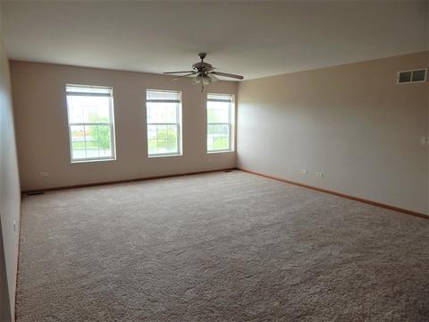 1901 Great Ridge Dr, Plainfield, IL 60586 photo 12
