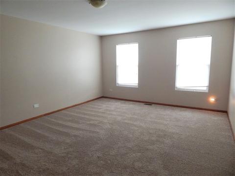 1901 Great Ridge Dr, Plainfield, IL 60586 photo 13