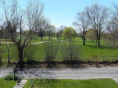 2 Cottage Row, Midlothian, IL 60445 photo 2