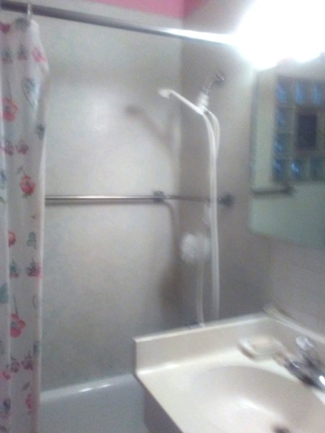 4027 Anna Ave, Lyons, IL 60534 photo 7