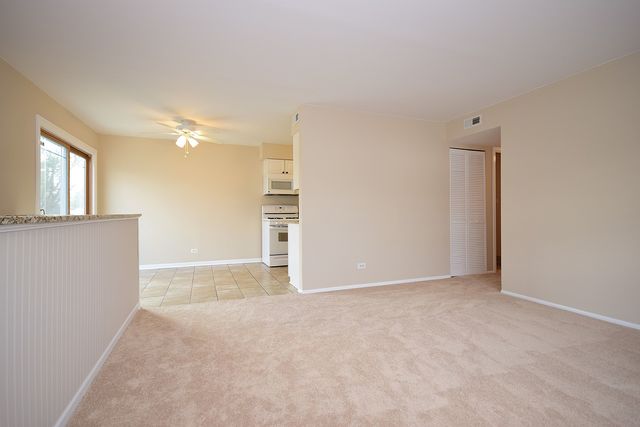 190 Elizabeth Ct #D, Bartlett, IL 60103 photo 6