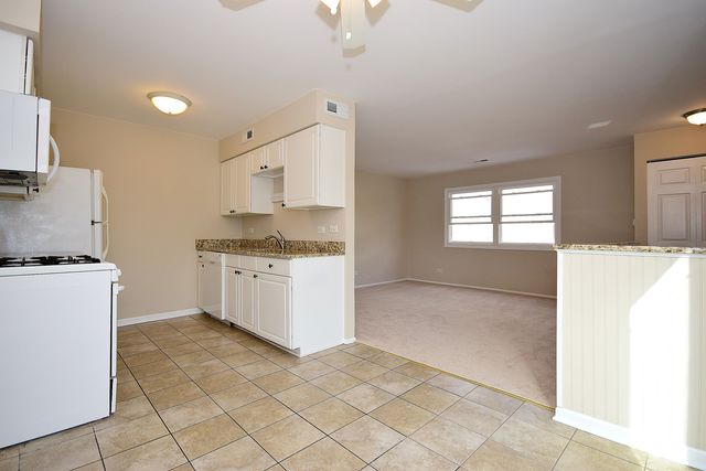 190 Elizabeth Ct #D, Bartlett, IL 60103 photo 9