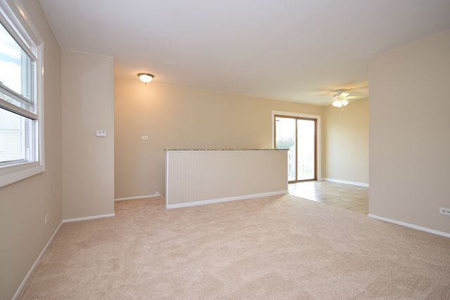 190 Elizabeth Ct #D, Bartlett, IL 60103 photo 5