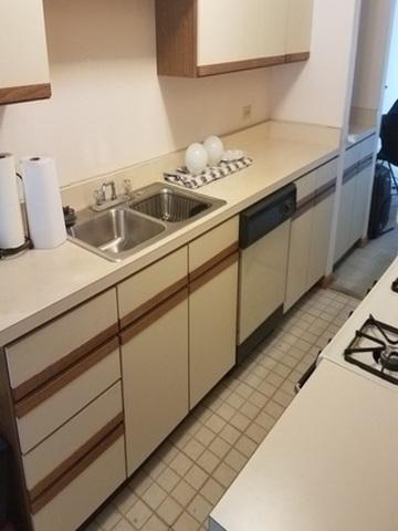 1133 E 83rd St #116, Chicago, IL 60619 photo 2