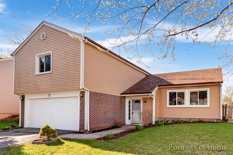 244 Mccook Ct, Bartlett, IL 60103 photo 1
