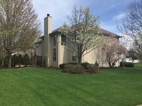 15260 Dan Patch Dr, Plainfield, IL 60544 photo 3