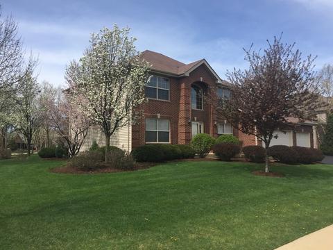 15260 Dan Patch Dr, Plainfield, IL 60544 photo 2