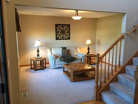 15260 Dan Patch Dr, Plainfield, IL 60544 photo 12