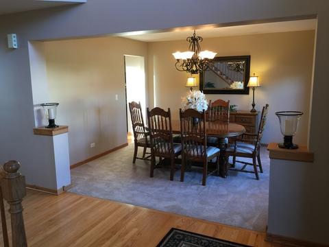 15260 Dan Patch Dr, Plainfield, IL 60544 photo 13