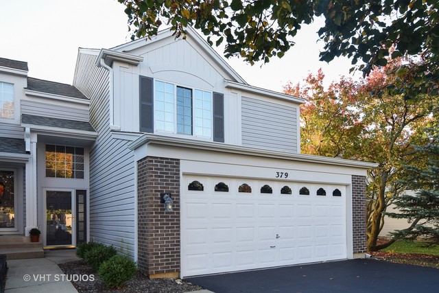 379 Monarch Birch Ct, Bartlett, IL 60103 photo 1