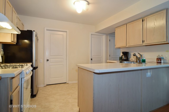 379 Monarch Birch Ct, Bartlett, IL 60103 photo 4