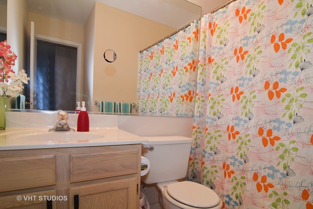 379 Monarch Birch Ct, Bartlett, IL 60103 photo 11