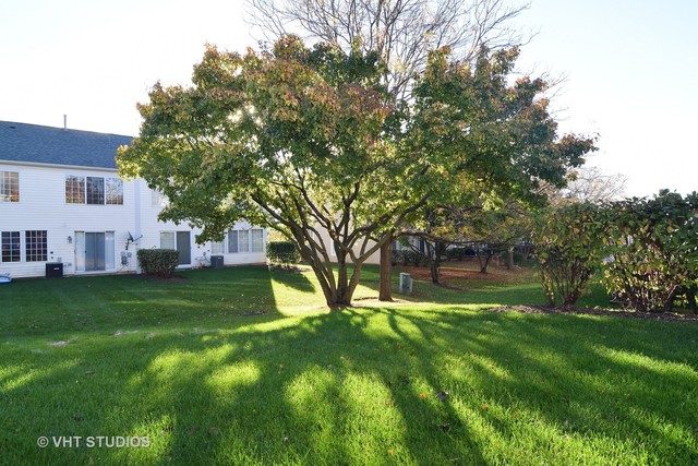 379 Monarch Birch Ct, Bartlett, IL 60103 photo 15