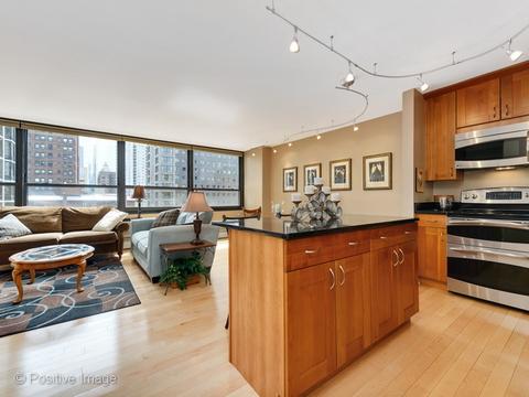33 E Cedar St #10C, Chicago, IL 60611 photo 5