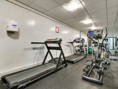 33 E Cedar St #10C, Chicago, IL 60611 photo 12