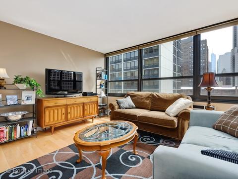 33 E Cedar St #10C, Chicago, IL 60611 photo 8