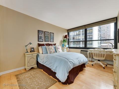 33 E Cedar St #10C, Chicago, IL 60611 photo 10