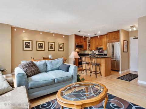 33 E Cedar St #10C, Chicago, IL 60611 photo 6