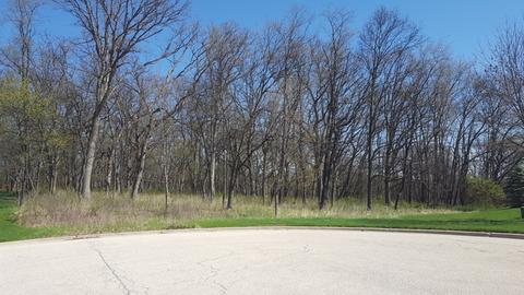 24913 N Autumn Rdg, Cary, IL 60013 photo 1