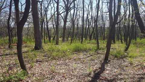 24913 N Autumn Rdg, Cary, IL 60013 photo 7