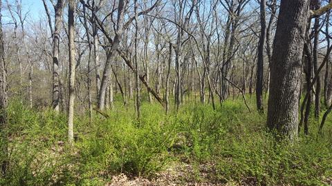 24913 N Autumn Rdg, Cary, IL 60013 photo 5