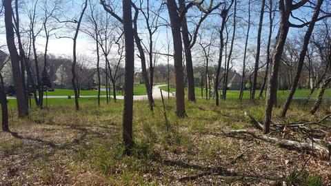 24913 N Autumn Rdg, Cary, IL 60013 photo 8